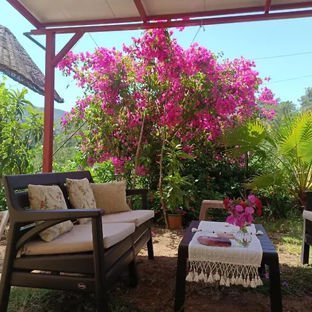 Cirali Sunny House